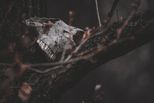 The Artistry of Grave Bloom